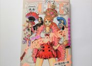 Heroine One Piece Rilis 5 Juli!